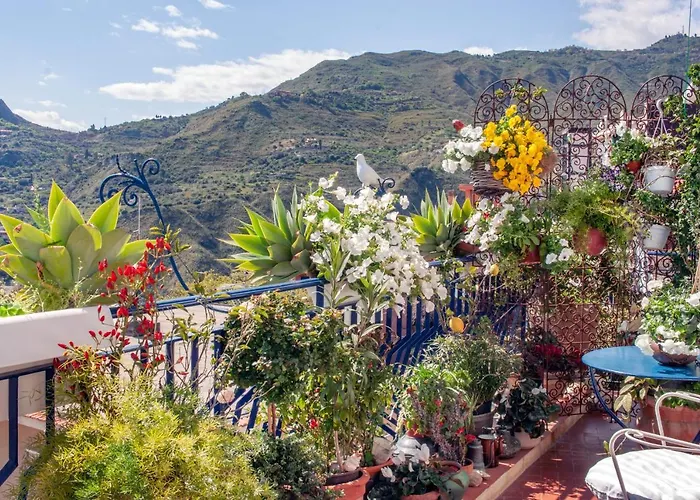 Oda ve Kahvaltı Giorgia 2*